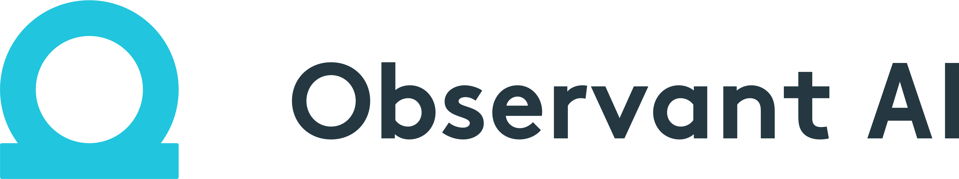 Observant logo